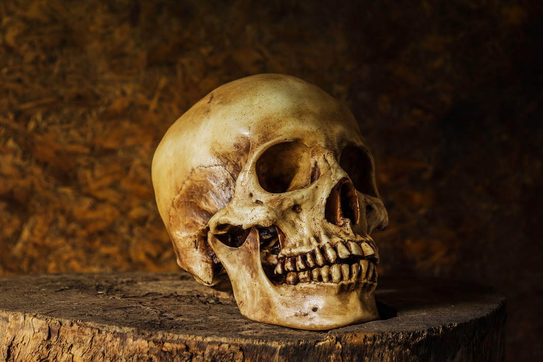 Ancient Teeth Reveal Possible Origin of Black Death Plague