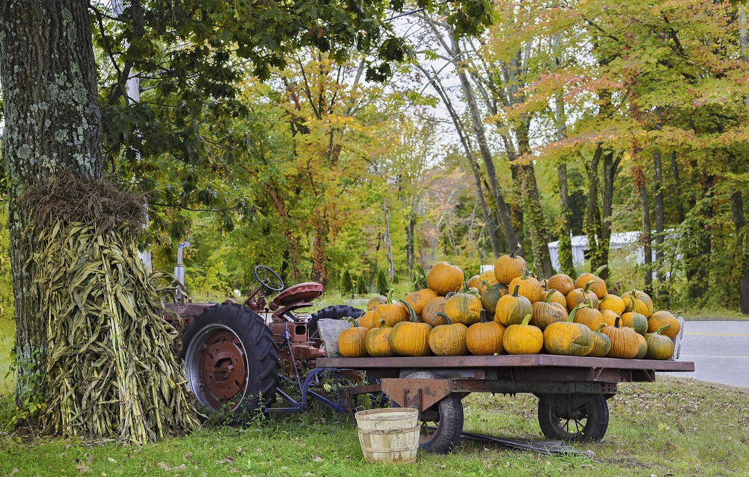 Don’t “FALL” Behind On Your Dental Benefits