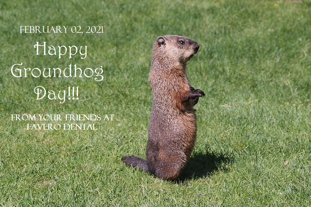 Happy Groundhog Day