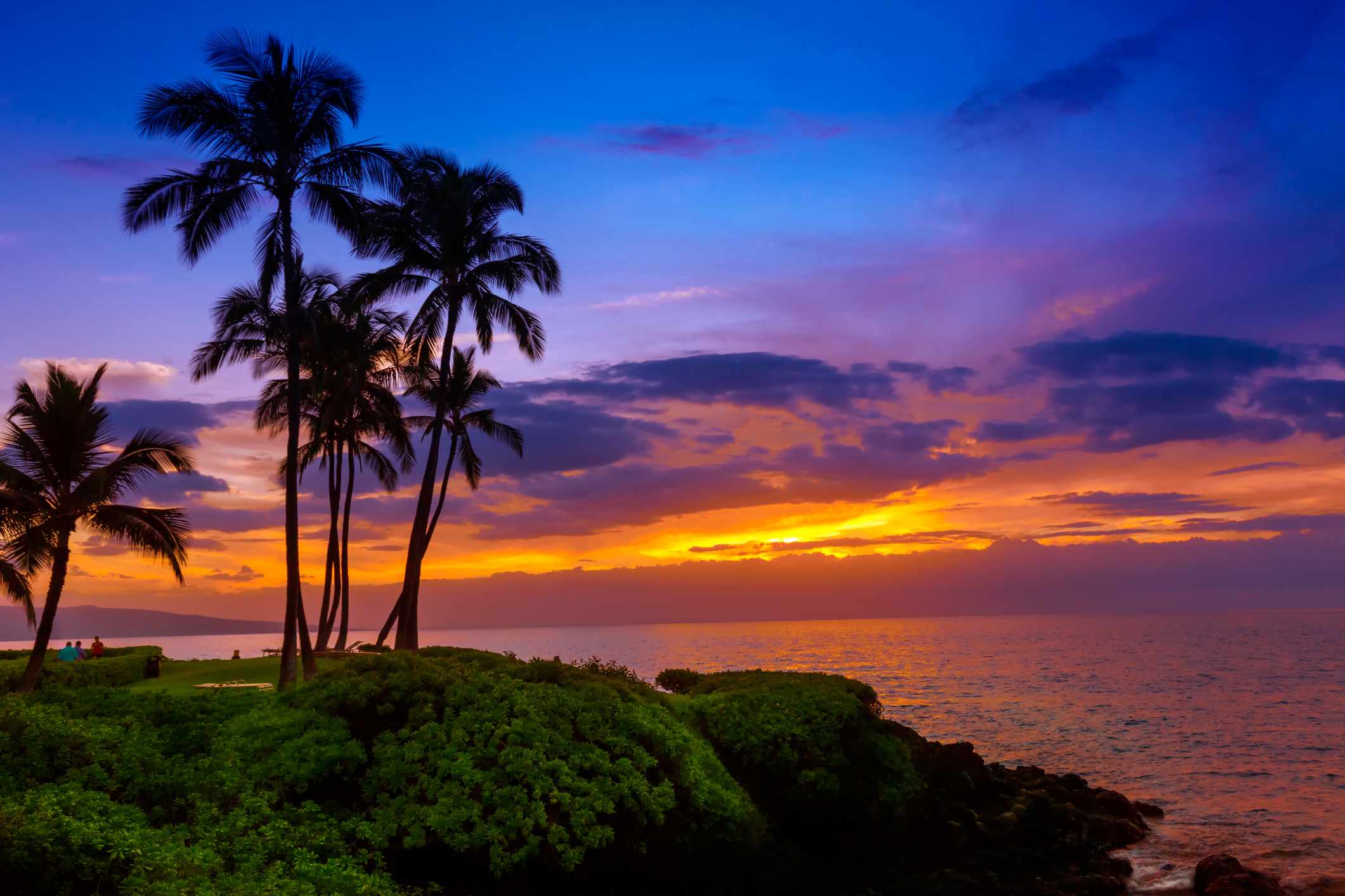 Aloha!  It’s Hawaii Day