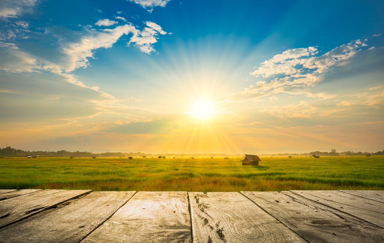 Summer Sun Safety Month